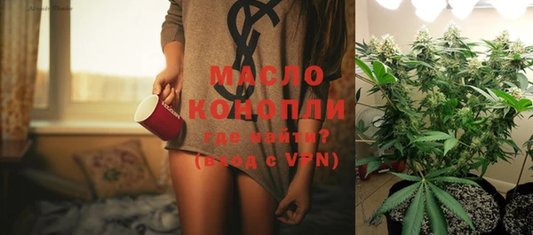 сатива Сосновый Бор