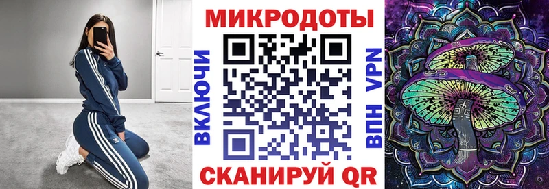 KRAKEN маркетплейс  дарнет шоп  Новоржев  Псилоцибиновые грибы GOLDEN TEACHER 